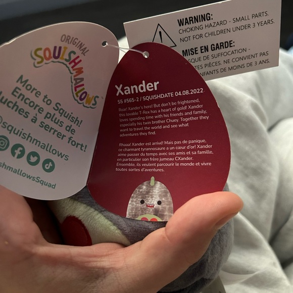 NWT Squishmallow Xander the T-Rex 5” Plush *VALENTINES EDITION* - Picture 3 of 3